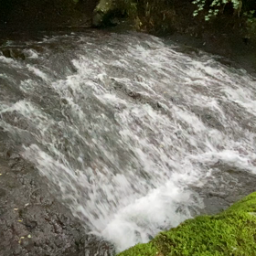 雨の日の楽しみ方の画像