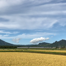 南阿蘇〜中郷天満宮〜の画像