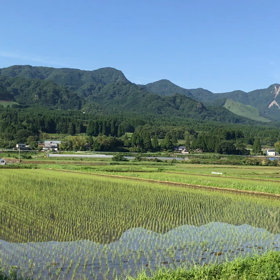 南阿蘇〜2018. 6. 2. 土曜日〜の画像