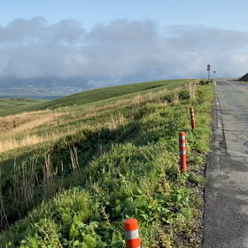 阿蘇〜雲海〜の画像