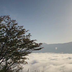 南阿蘇〜2018. 4.18 雲海〜の画像
