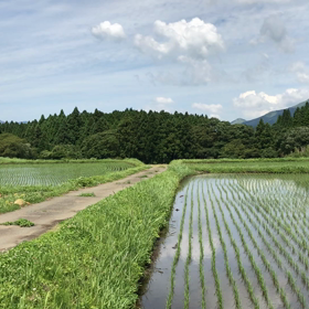 南阿蘇〜2018. 6.15〜の画像