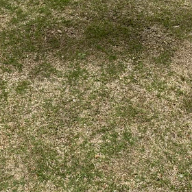 南阿蘇〜垂玉温泉 瀧日和〜の画像