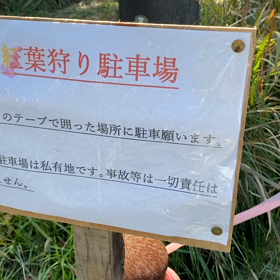 阿蘇〜紅葉〜の画像