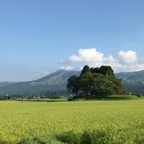 南阿蘇〜2018. 8.10〜の画像