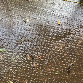 阿蘇〜夫婦滝〜の画像