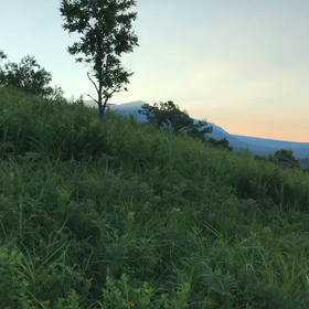 阿蘇〜2018. 7.15 日曜日〜の画像