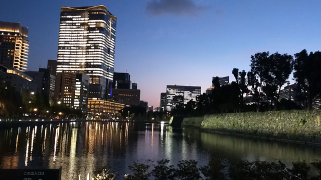 東京の絶景と用事を済ますの記事動画