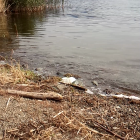 水の音の画像