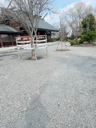 やったね！侍ジャパン♡80年ぶりの最強運日をものにしたねの記事動画