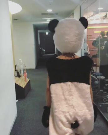 パンダなわたしの記事動画