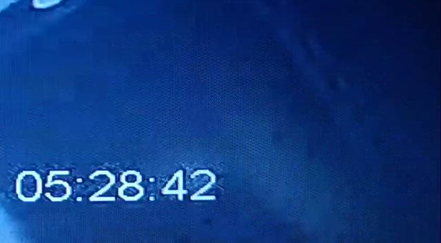 皆さんおはようございますの記事動画