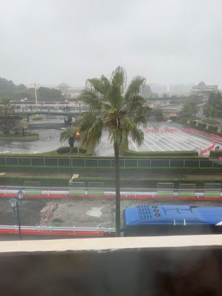 今日の舞浜。雨で前が見えません…(^◇^;)の記事動画