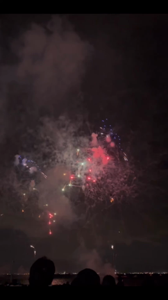 4年ぶり開催の浦安市の花火大会！でも突然の豪雨(^◇^;)の記事動画