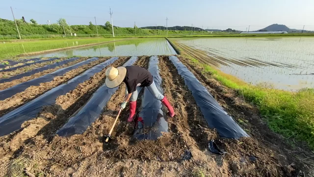 明日で５月も終わりですなぁ・・・✨の記事動画