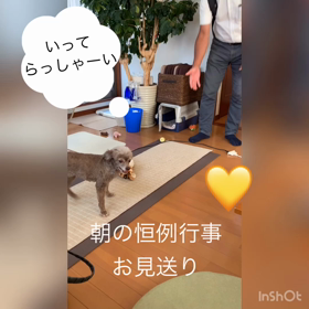 ◆朝の恒例行事＠愛犬マナの画像