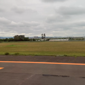 旅立ちましたの画像