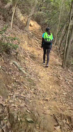 埼玉県日高市〜日和田山登山〜の記事動画
