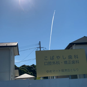 何ですか⁉︎これは⁉︎の画像