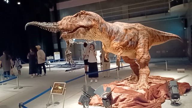 恐竜展に行きましたー(ﾟ∀ﾟ)の記事動画