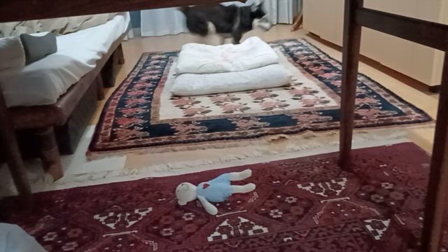 恭ちゃんの１人運動会と 新しい友だちはミッキー？の記事動画