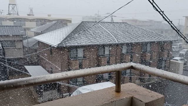 朝の投票中カンカン照りだった徳島も猛吹雪に(ﾟДﾟ;)の記事動画