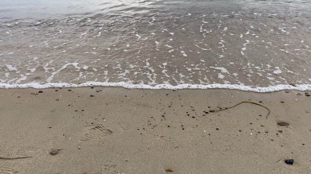 海をイメージのロングネックレスの記事動画