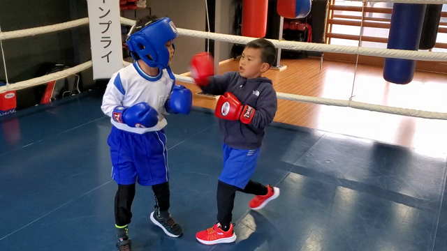 【動画あり】息子のボクシングの記事動画