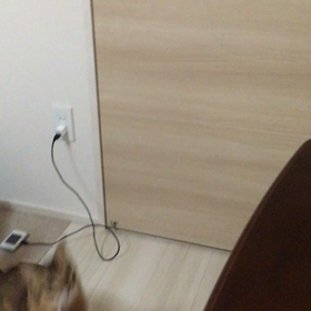 モモの本気Part.2の画像