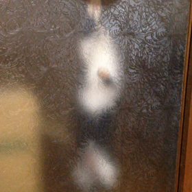 ワガママ娘の画像