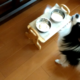 アトム、底なしの食欲の画像