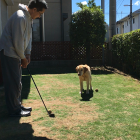 友人のワンちゃんの特技の画像
