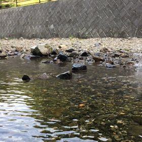 今年も…。の画像