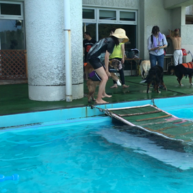 あぁぁ〜〜（笑）の画像