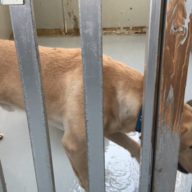 きなこファミリーの画像