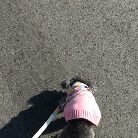 2月の画像