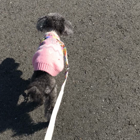 きっと大丈夫！の画像