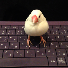 ぷーちゃんのキーボードの画像