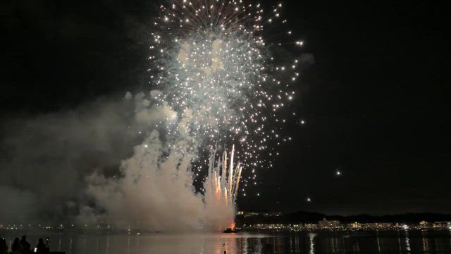 花火の記事動画