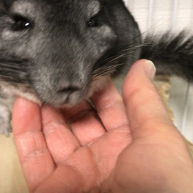 2019/02/27の画像