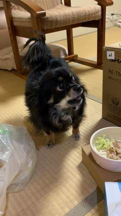 さん吉の記事動画
