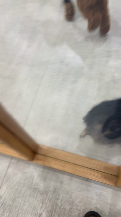 さん吉幼稚園の記事動画