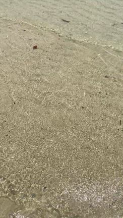 ★久しぶりのビーチ★の記事動画