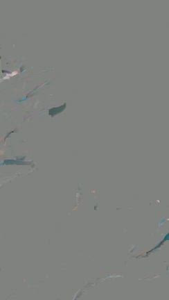 ぴよりんチャレンジの記事動画