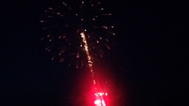 庄川観光祭の記事動画