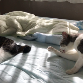 久しぶりの投稿の画像