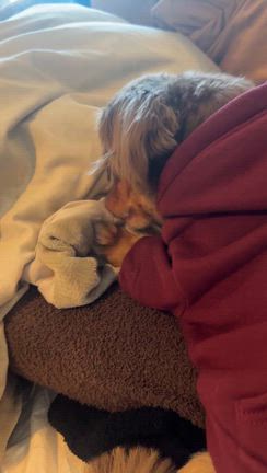 声が出なくなって3日目になりました。の記事動画