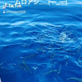 こいつのせいでｗの画像