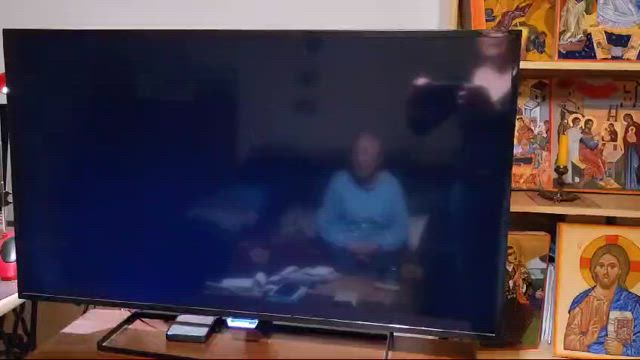 TV が観れるようになりましたの記事動画
