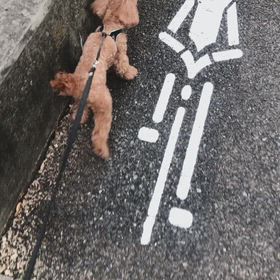 散歩の画像